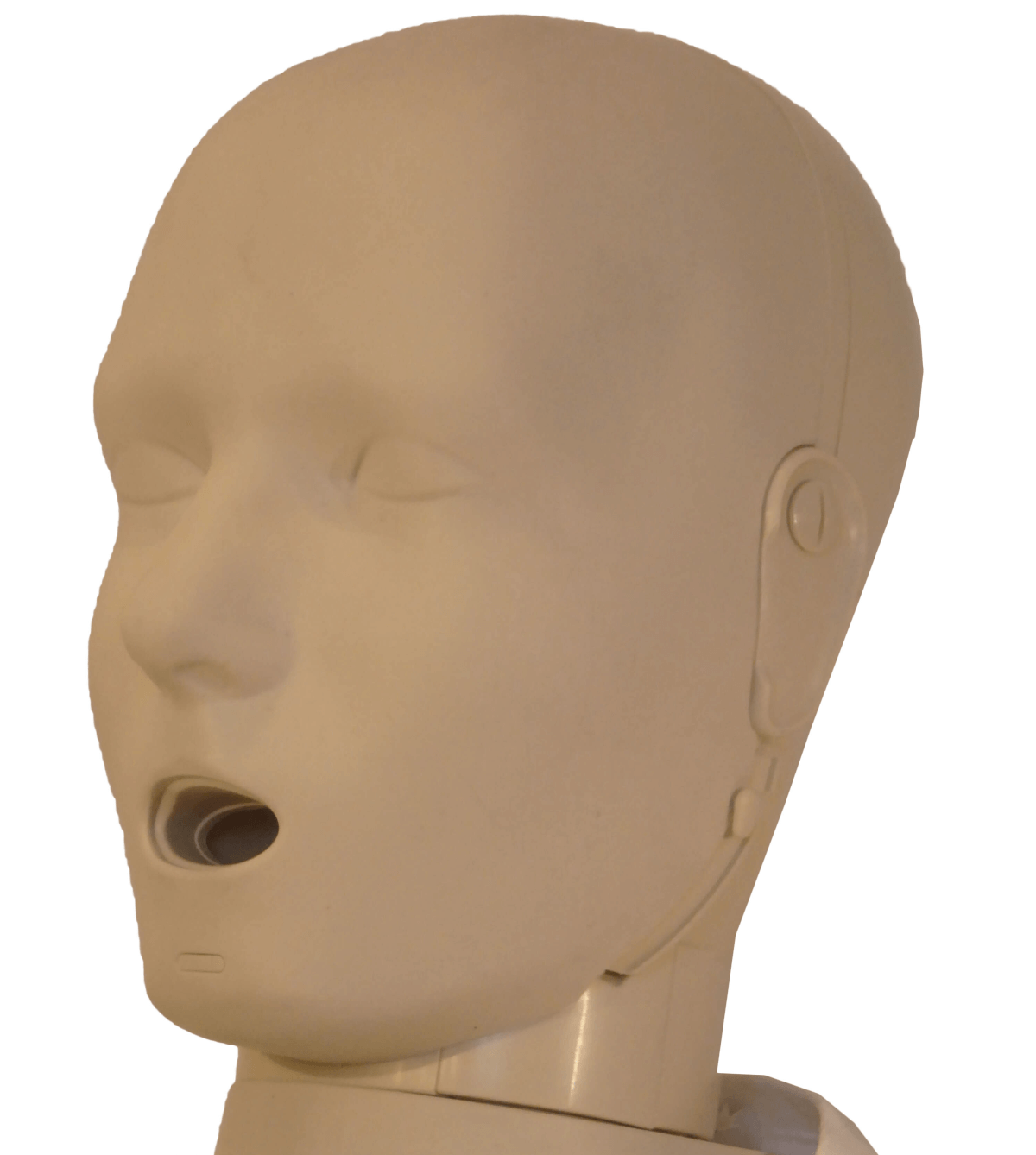 Walter PRESTAN Adult Jaw Thrust Manikin