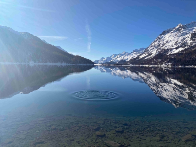 Weihnachtskarte 2022