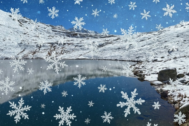 Weihnachtskarte 2025